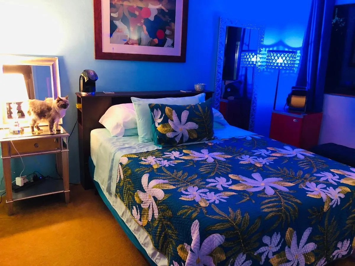 Kona Magic Honu Room Kailua-Kona 0*,